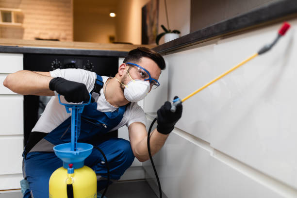 Best Termite Control Services  in Highspire, PA