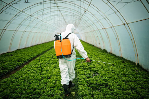 Best Affordable Exterminators  in Highspire, PA