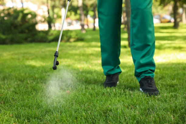 Best Pest Removal Services  in Highspire, PA