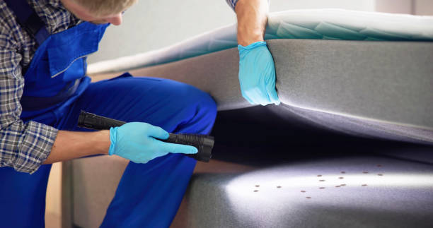 Best Affordable Pest Control Services  in Highspire, PA