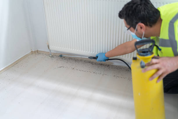 Best Cockroach Control Services  in Highspire, PA
